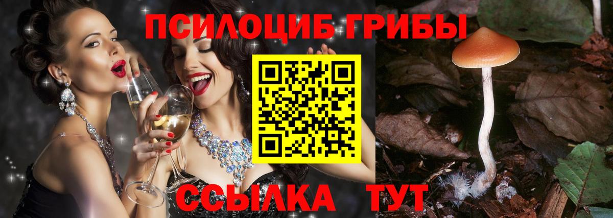 Галлюциногенные грибы GOLDEN TEACHER  Псилоцибиновые грибы прущие грибы  Белгород  Вход с VPN 